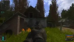 ОП 2 - DSH MOD