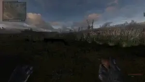 ОП 2 - DSH MOD