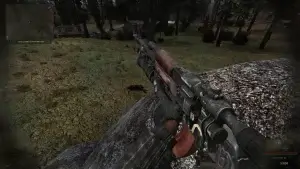 ОП 2 - DSH MOD